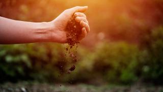 Gezegenimizin yaşayan ve yaşatan derisi tehdit altında