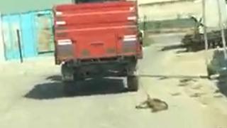 Traktörün römorkuna bağladığı köpeği metrelerce sürükledi