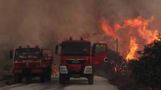 Hatay'da orman yangını: Müdahale sürüyor