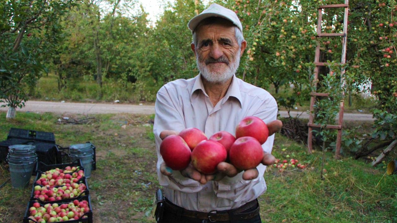 "Topluyoruz, topluyoruz. Bitmiyor."