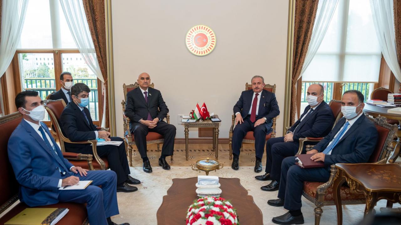 Parlamentolar arası iş birliği protokolü