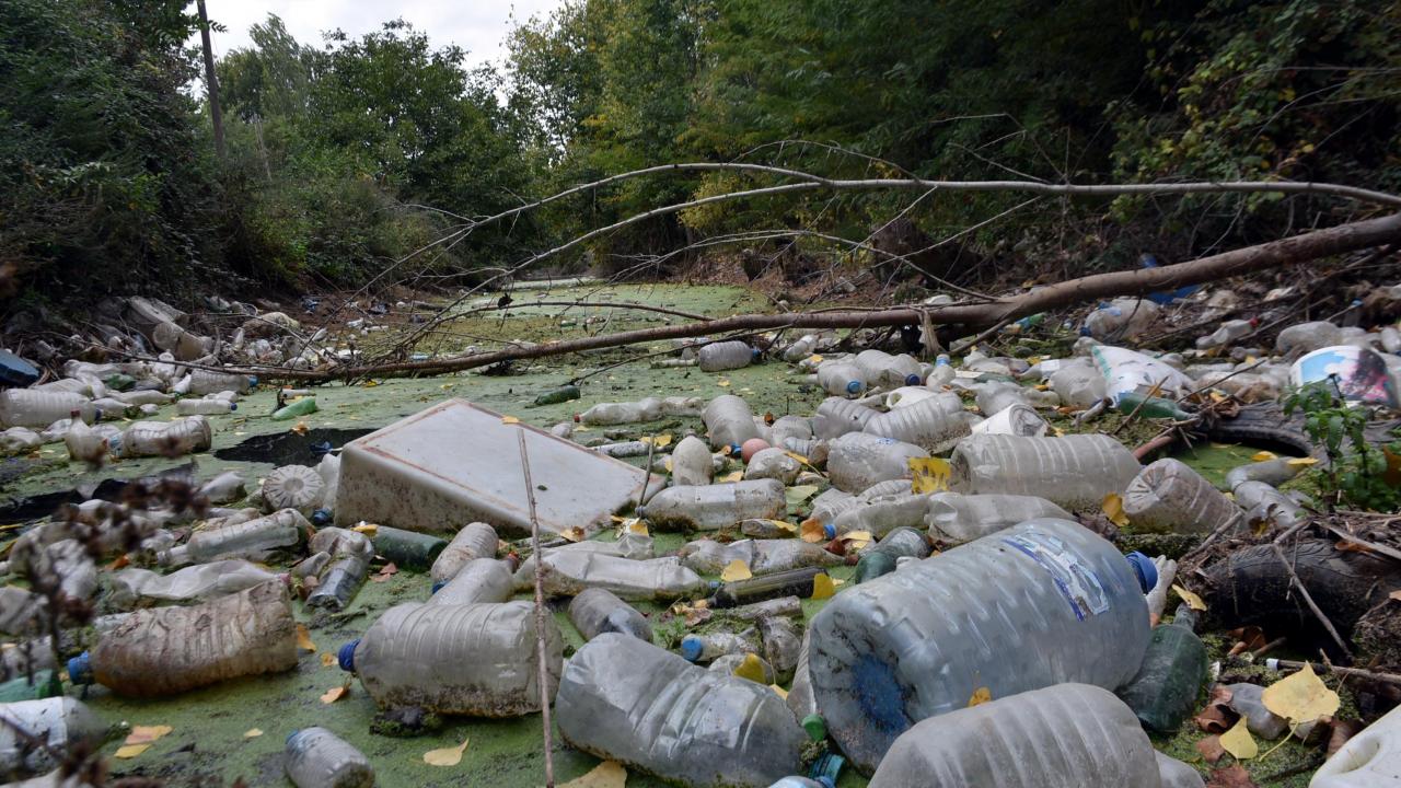 "Deremiz yok olmuş durumda"