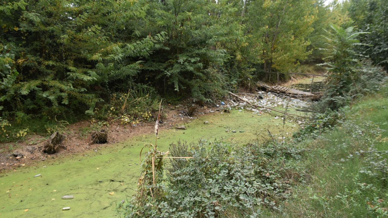 "Suyunu içip balık tutardık"