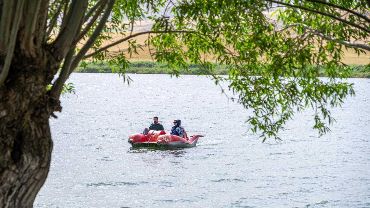 Birçok balık türü yaşıyor