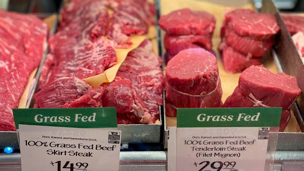 "Salgın azaldıkça enflasyon ılımlı hale gelecek"