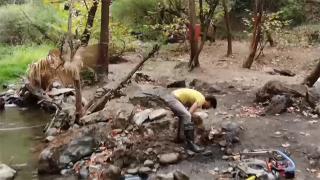 Uludağ'ın eteklerinden 6 yılda yarım kilo altın çıkardı