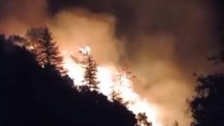 Antalya'da orman yangını