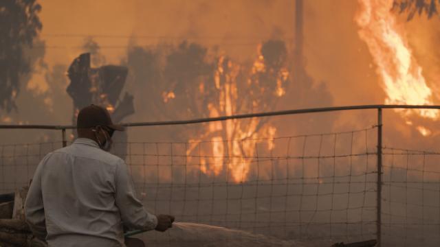 Californiada yangın: Olağanüstü hal ilan edildi