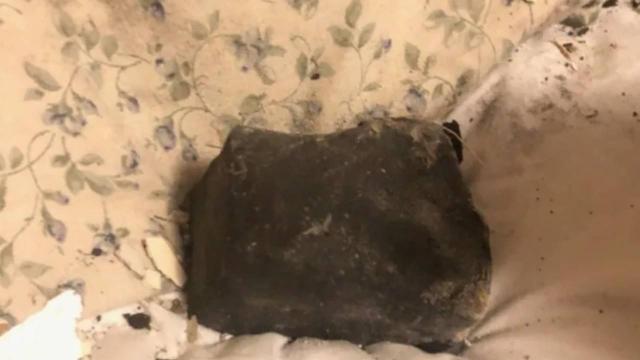 Odasında uyurken yatağına göktaşı düştü