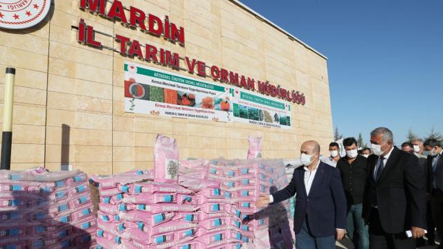 Mardinde çiftçilere hibe destekli tohum dağıtıldı
