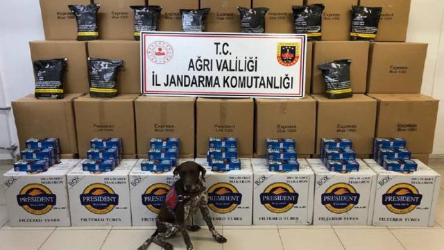 Ağrıda 1 ton 630 kilo kıyılmış kaçak tütün ele geçirildi