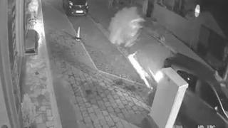 Otomobili park ederken ağacı devirdi