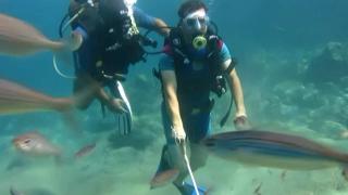 Deniz dibinde beyaz bastonla yürüyüş yaptılar