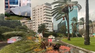 İzmir'de kuvvetli rüzgar ağaçları devirdi çatıları uçurdu