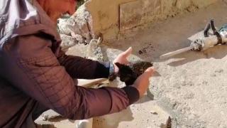 Atık borusuna sıkışan "Behlül" kurtarıldı