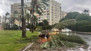 İzmir'de kuvvetli sağanak ve rüzgar: Deniz taşkınları oldu