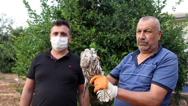 Mersinde nesli tükenmekte olan beyaz şahin besleyen kişiye para cezası