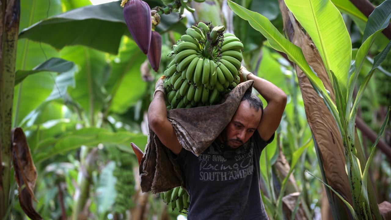 "Üretici hiçbir zaman tüketiciye aşırı fiyat yansımasını istemez"