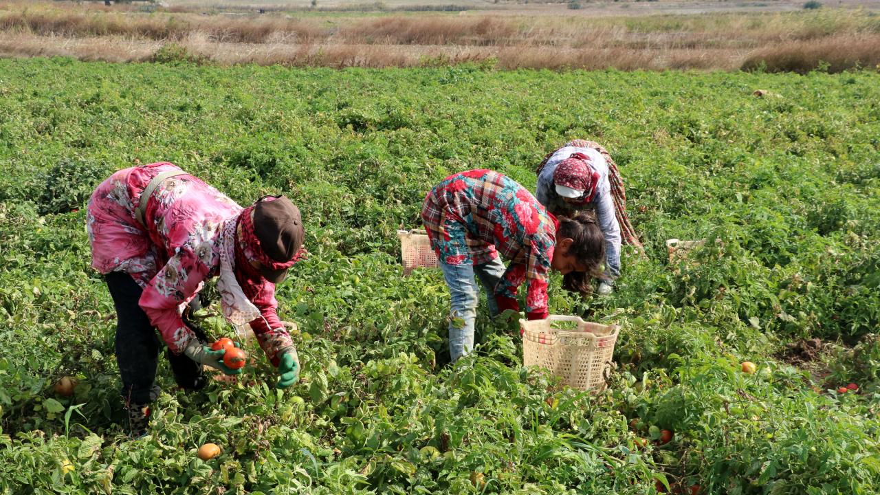 "En lezzetli dönemdeyiz"