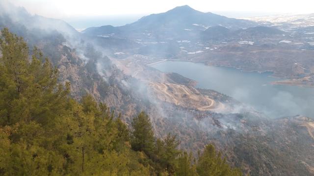 Bodrumda makilik alanda yangın