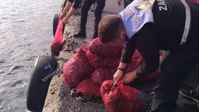 Sarıyerde kaçak avlanan 1 ton midye ele geçirildi