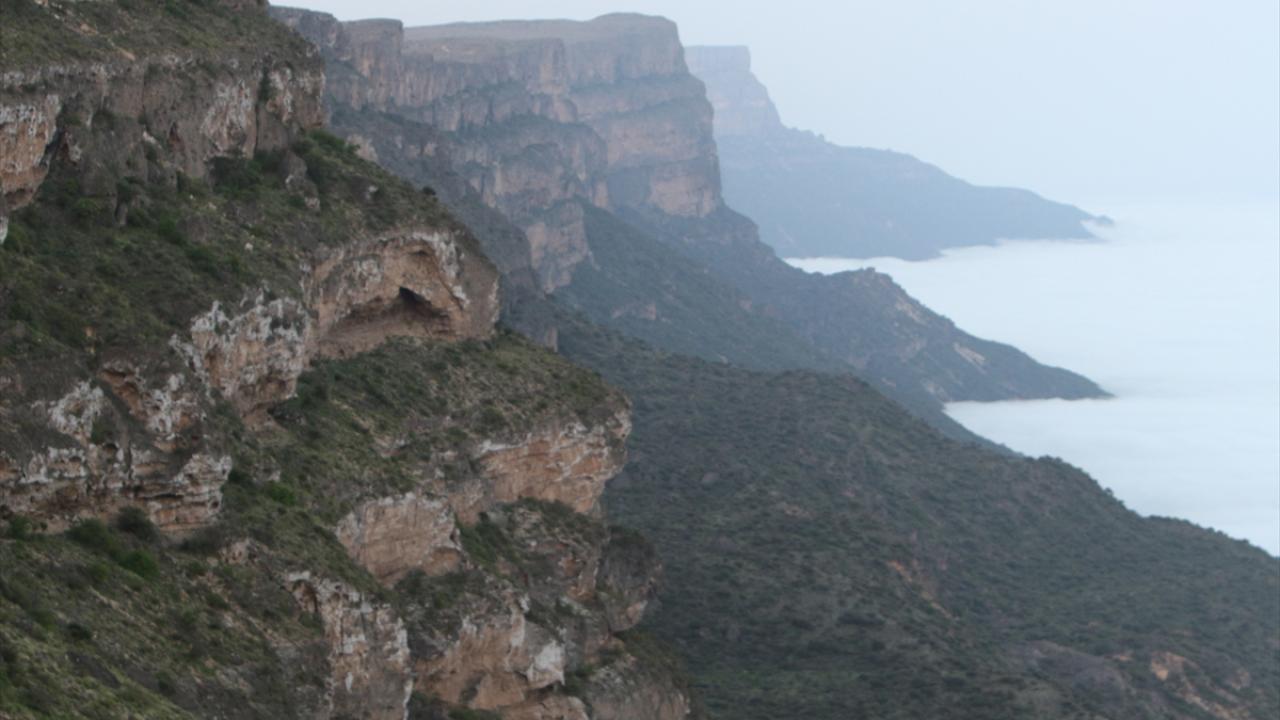 Şehrin gürültüsünden kaçanlar buraya geliyor