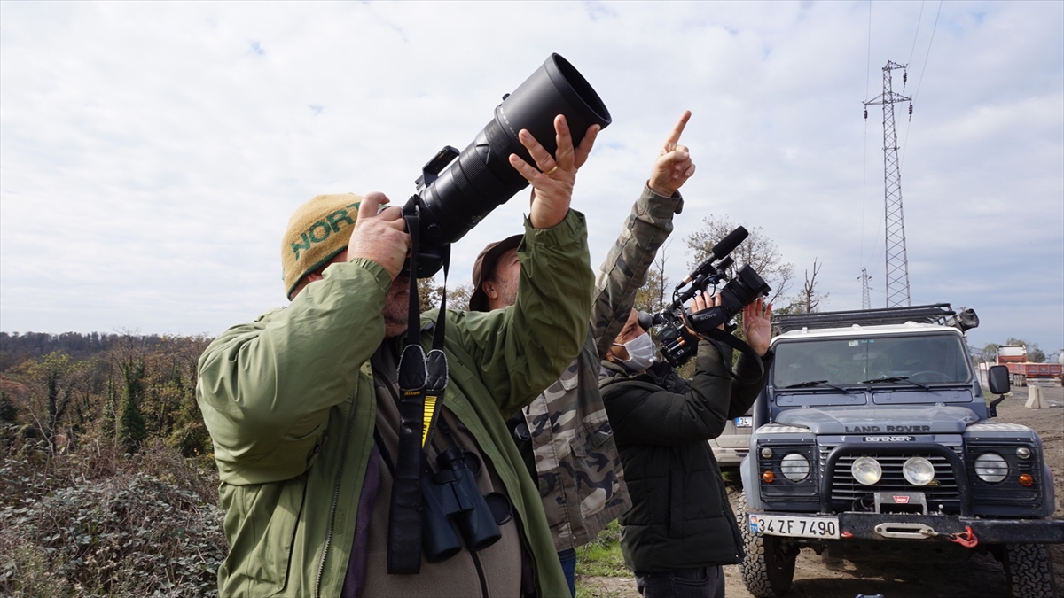 "Kuşların yaşam alanları yok oluyor"