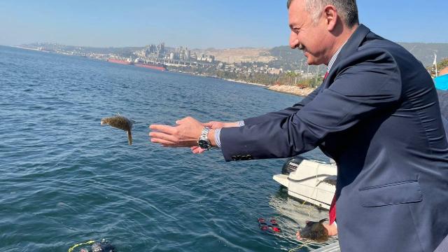İzmit Körfezine 6 bin çipura, levrek ve kalkan bırakıldı