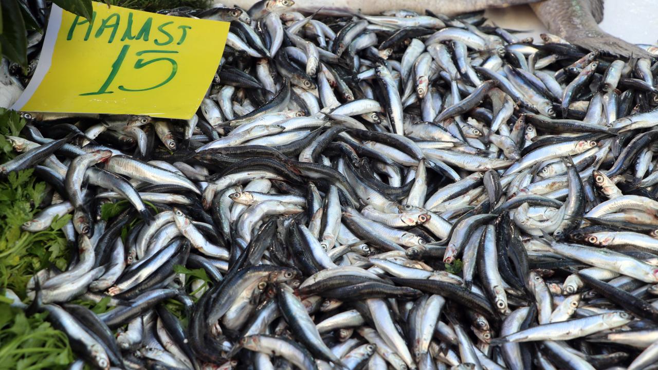 Hamsi bolluğu tezgahlarda fiyatlara yansıdı