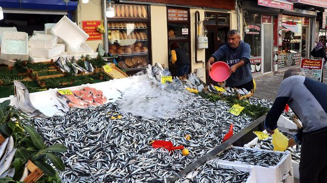 Edirnede hamsi bolluğu fiyatlara yansıdı