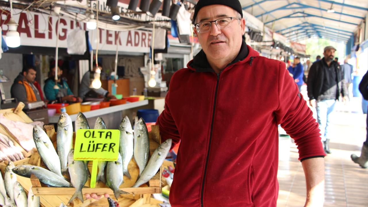 "Gırgırlar bu lüfer balığını avlayamıyor"