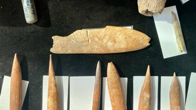 İzmirdeki kazılarda aslan ve panter kemikleri bulundu