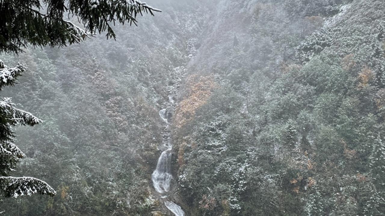 Trabzon