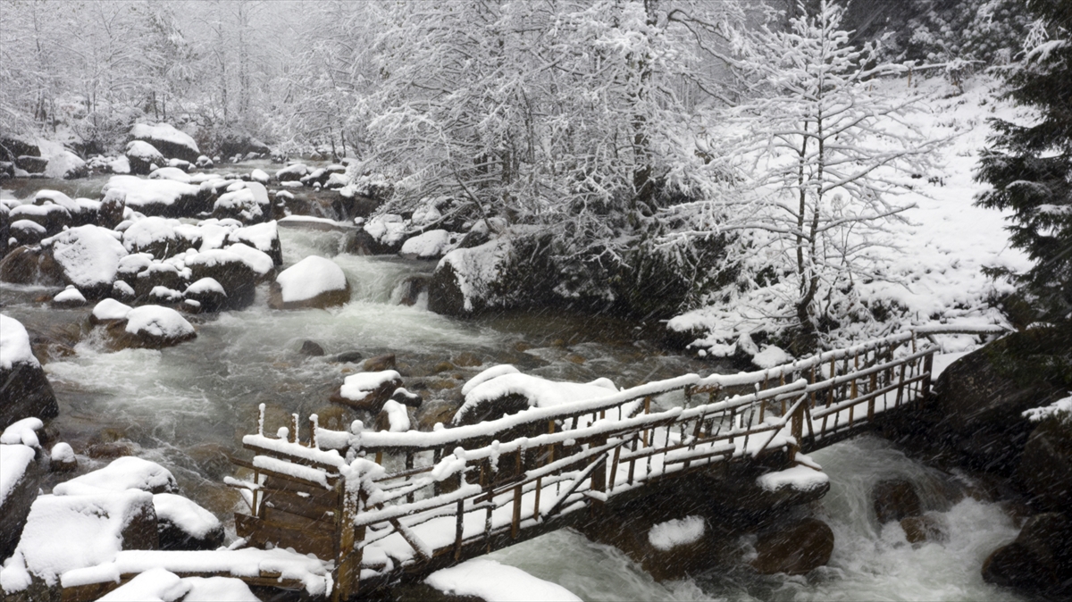 Artvin