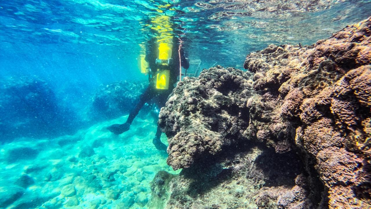 "Çok güzel bir dalış deneyimi yaşadım"