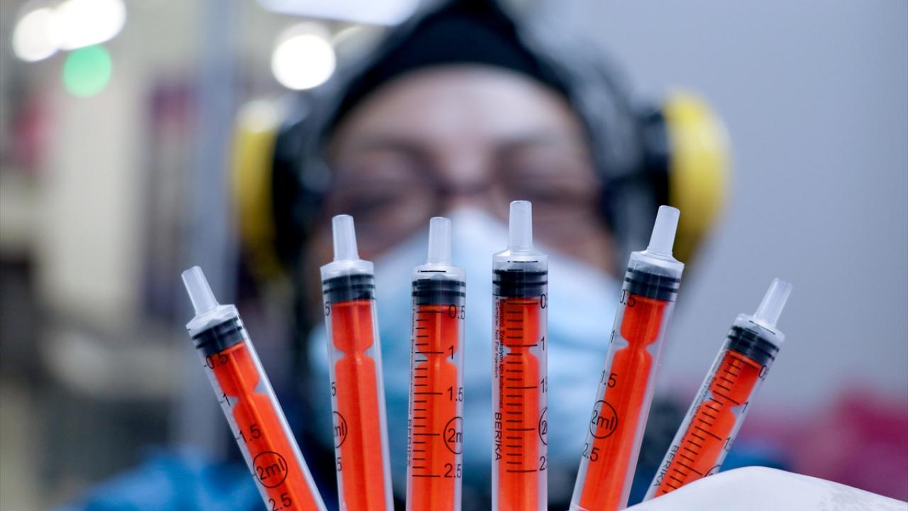 "Avrupa Birliği ülkelerine satıyoruz"