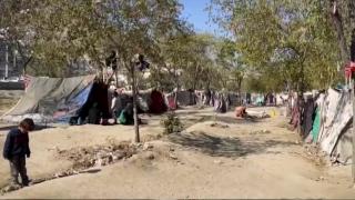 TRT Haber, Afganların zor şartlarda yaşadığı kampta