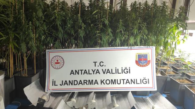 Antalyada çeşitli Antalyada çeşitli suçlardan aranan kardeşler, villada uyuşturucu imal ederken yakalandıaranan kardeşler, villada uyuşturucu imal ederken yakalandı