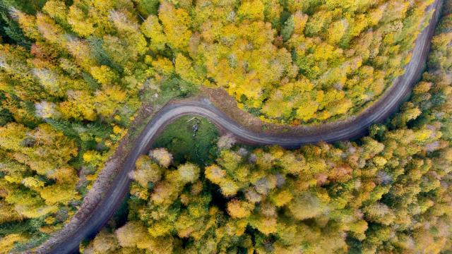 Düzcenin ormanlarında sonbahar renkleri
