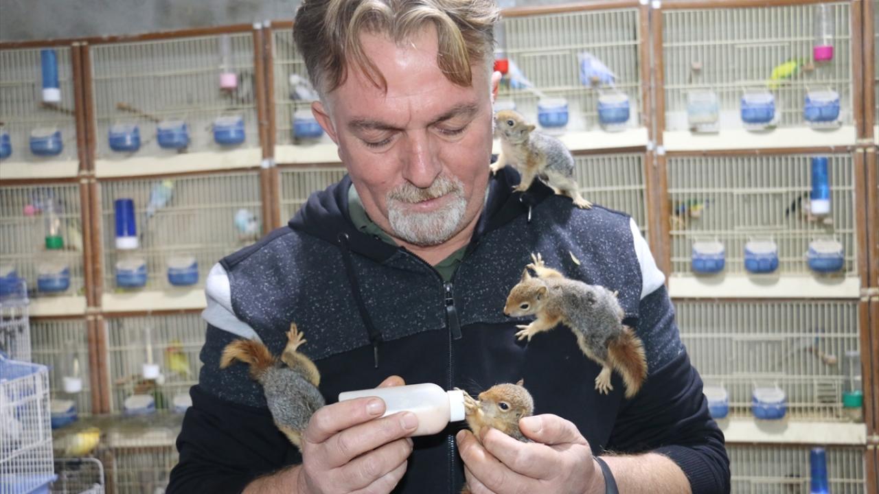 "Büyüdüğünde doğaya bırakacağım"