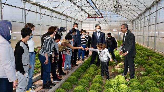 Özel çocukların yetiştirdiği sebzeler hasat edildi