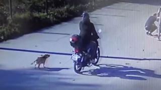 Kendisini kovalayan köpeğe sinirlendi, 2 kişiye çarptı