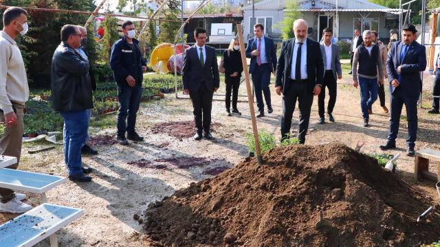 Sahilden toplanan yosun ve evsel atıklar fidelere can oluyor