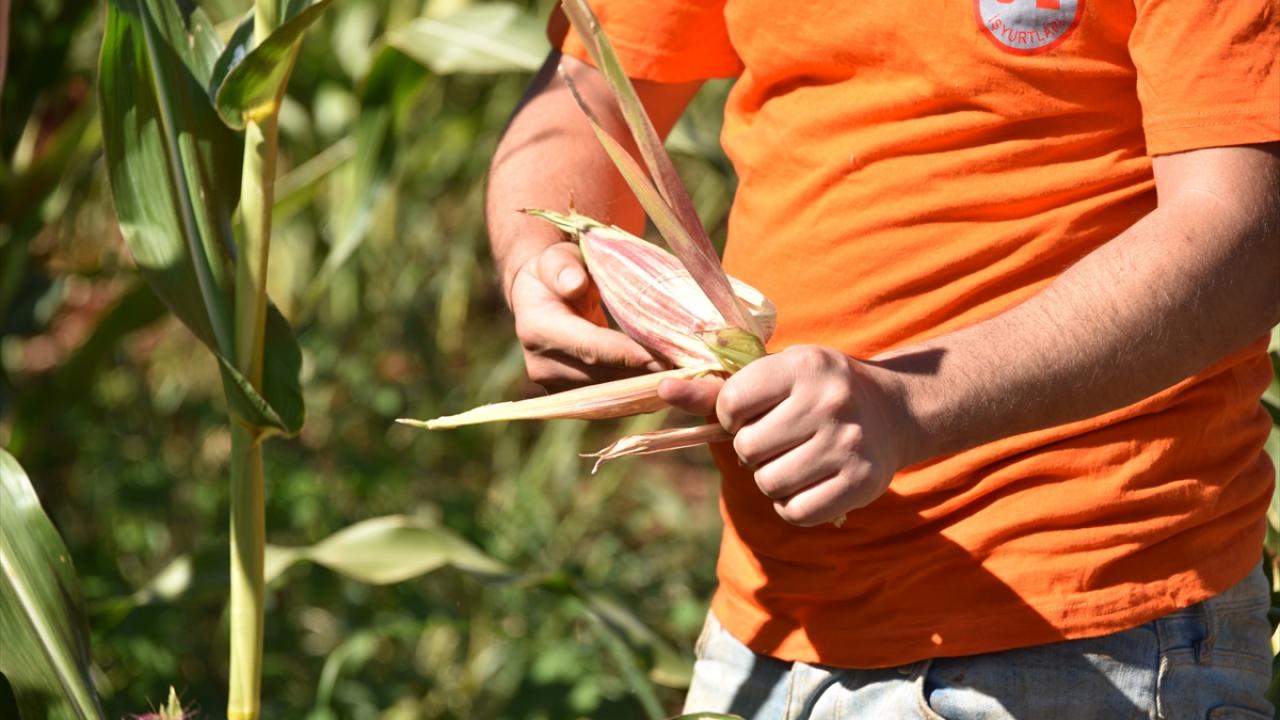 "Hükümlülerimizi hayata kazandırmayı hedefliyoruz"