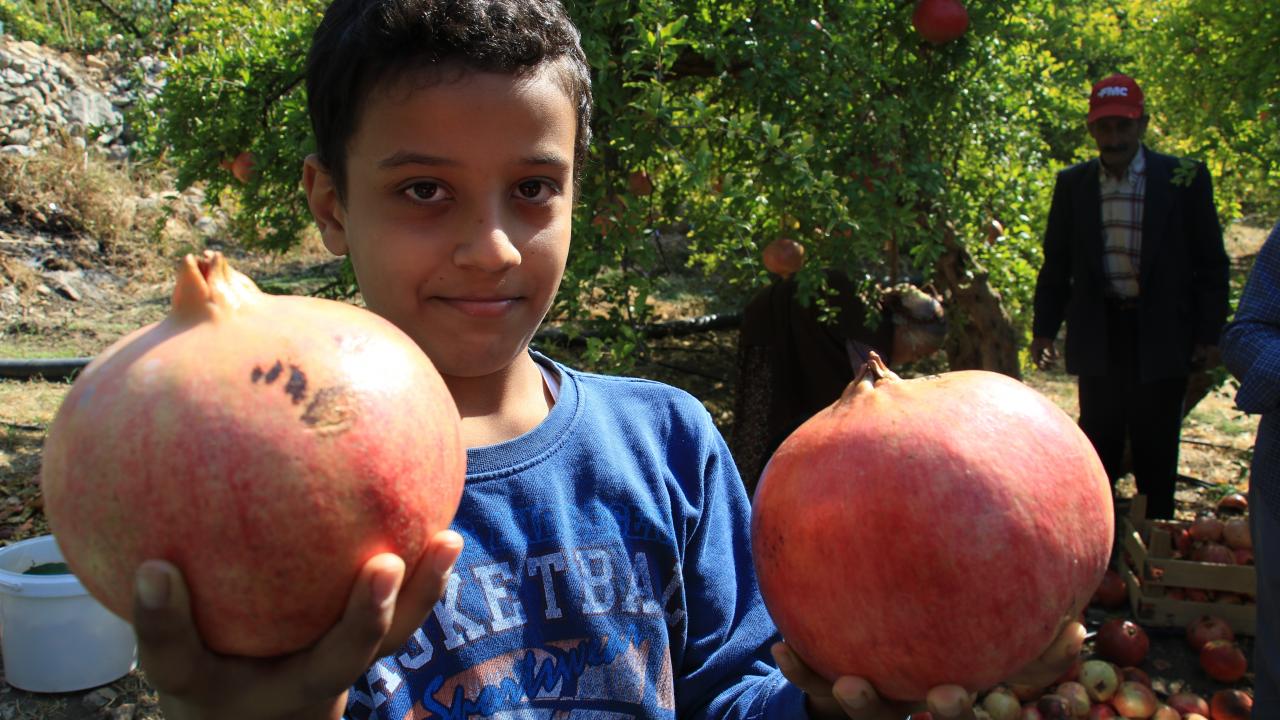 Bilenler hediyelik olarak sipariş veriyor