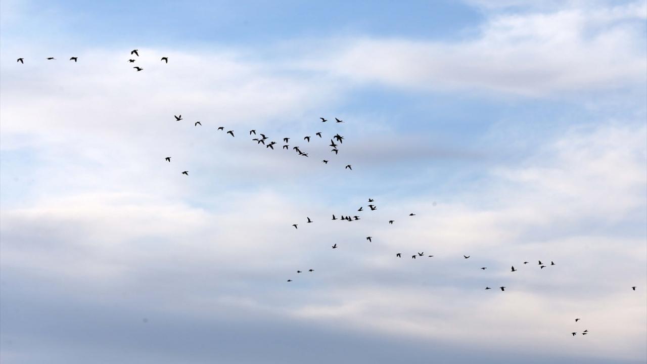 "Göçün son dönemlerindeyiz"