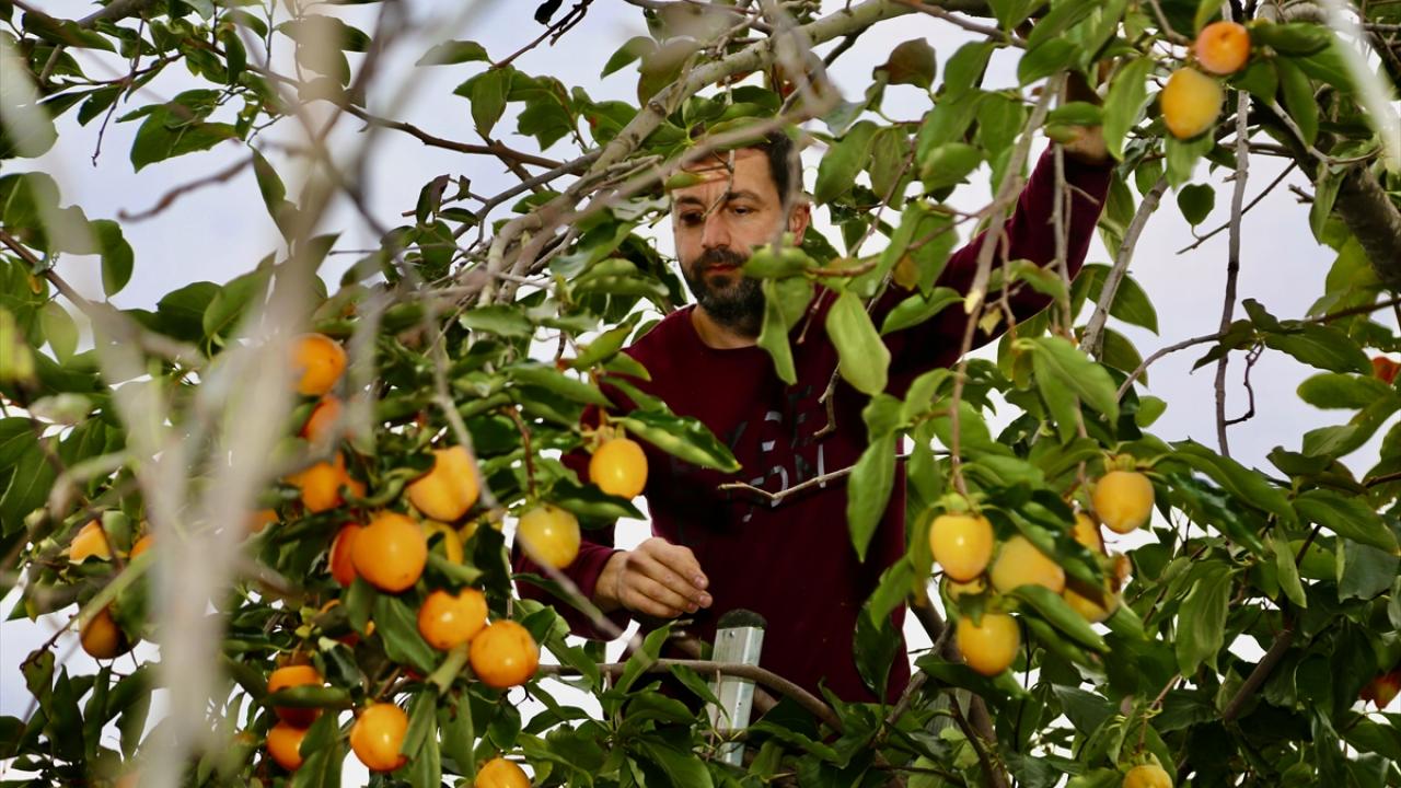 "Gençlerimiz için yeni iş olanakları doğdu"