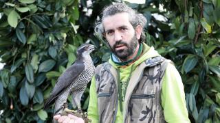 Şahin ve atmacalar güzellik yarışmasında boy gösterdi