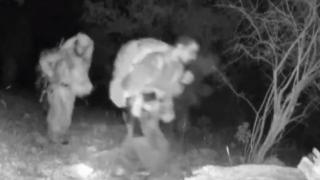 Fotokapana yakalanan teröristleri SİHA vurdu