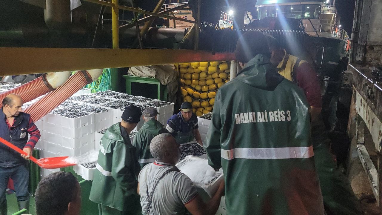 “Bin kasa civarında hamsi tuttuk, tekrar denize açılacağız”